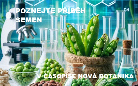 Příběh semen