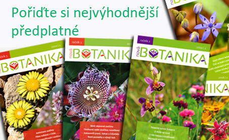 Nejvýhodnější předplatné Nové Botaniky