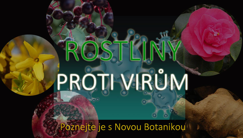 Rostliny proti virům