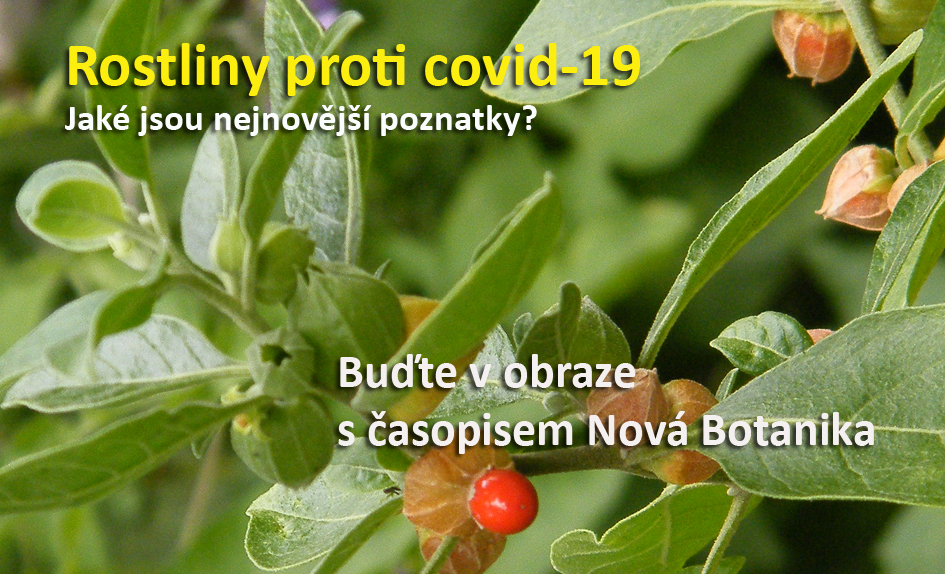 Rostliny proti covid-19