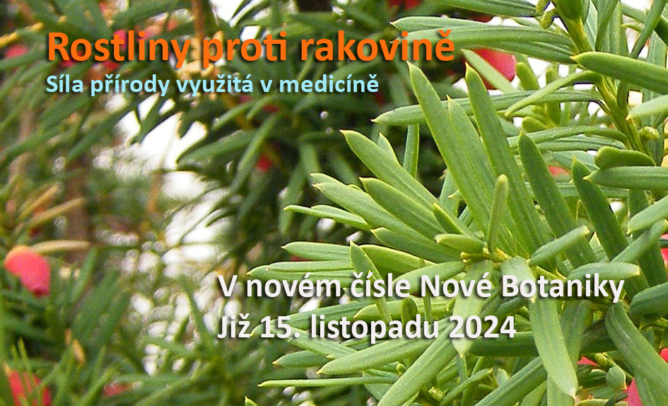 rostliny proti rakovině