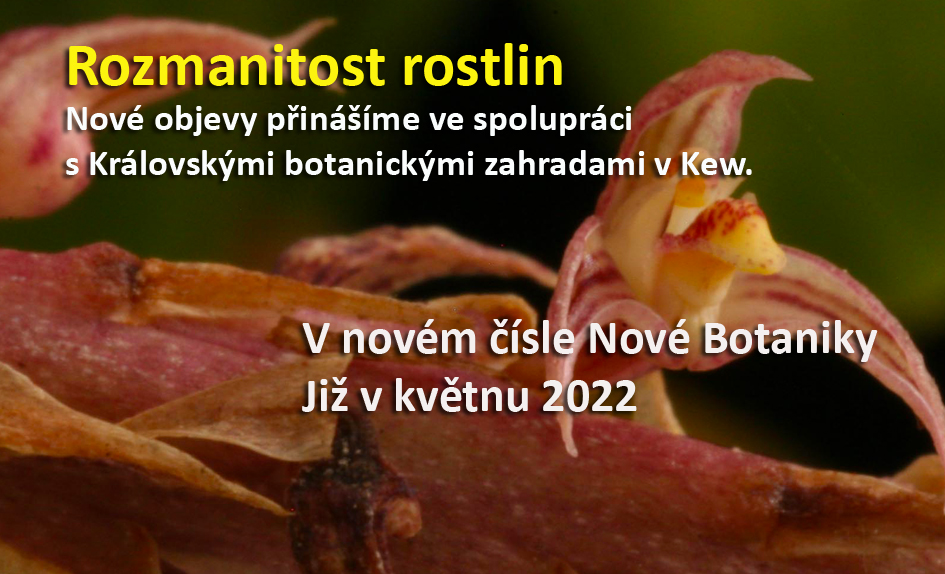 Nové objevy 2022