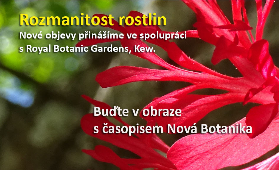 Rozmanitost rostlin