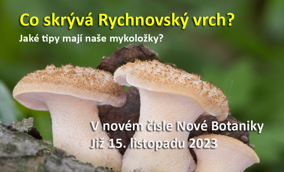 Rychnovský vrch