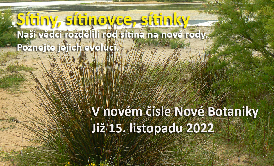 Sítiny