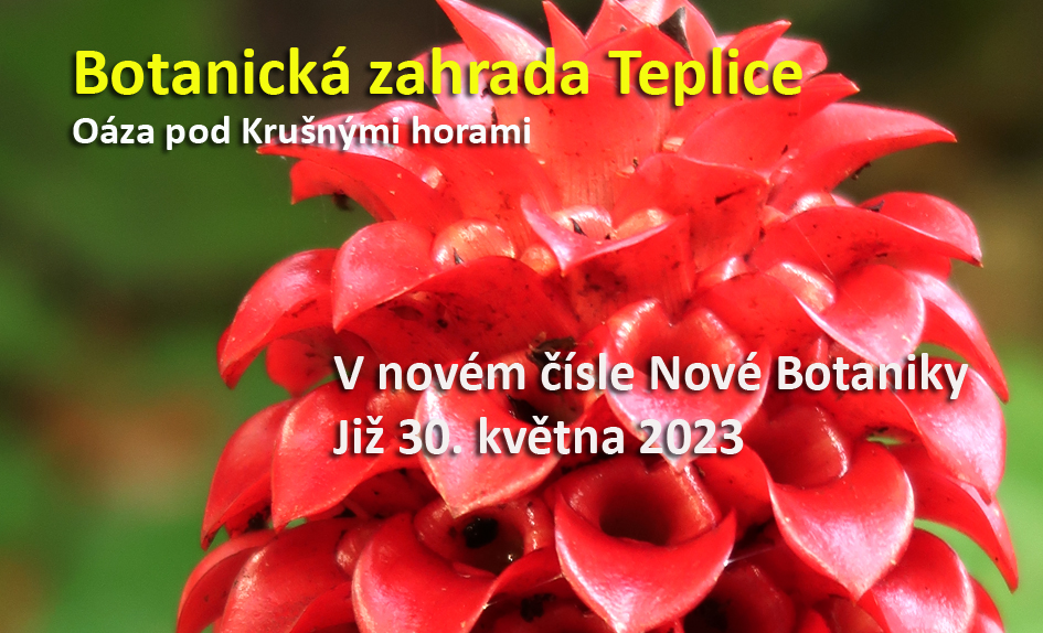 BZ Teplice
