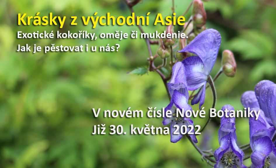Východní Asie