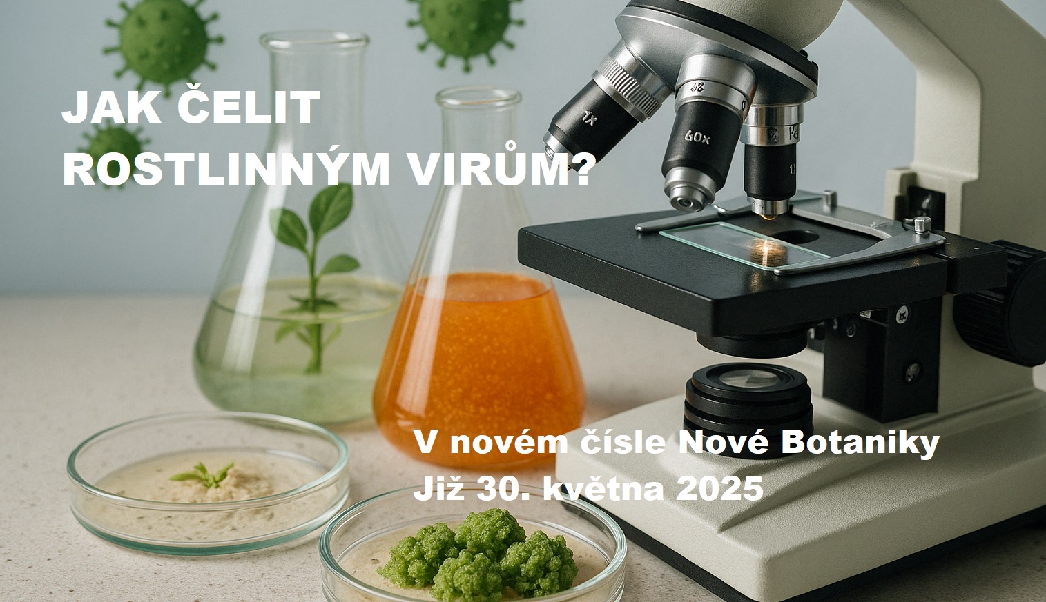 rostlinné viry