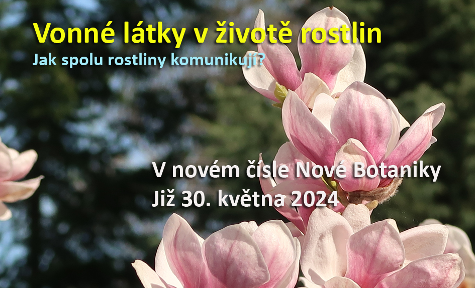 Vonné látky