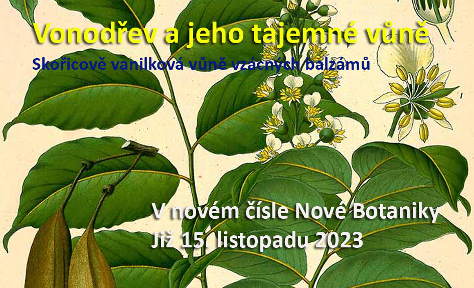 vonodřev