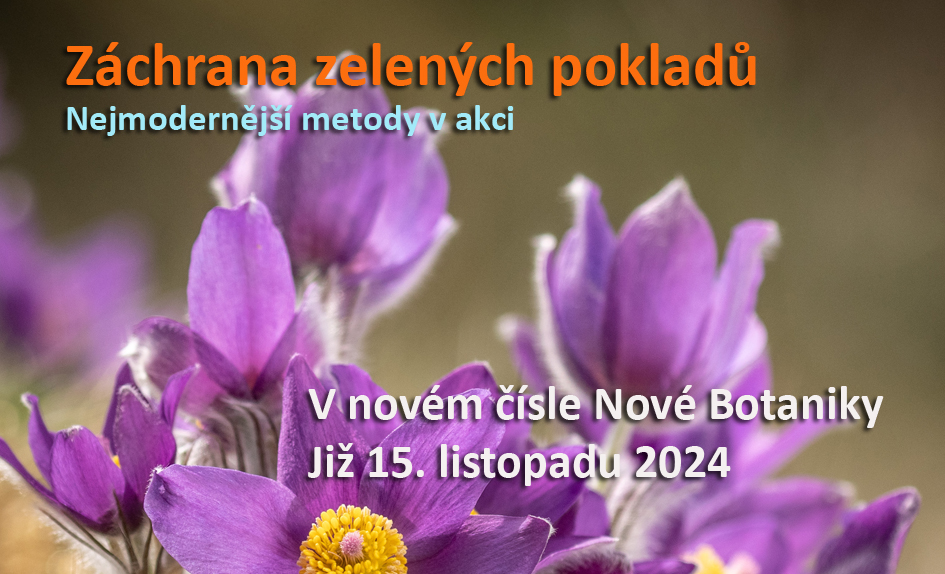 záchrana pokladů