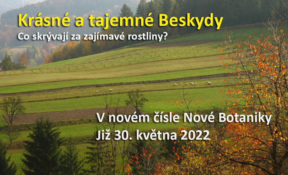 beskydy