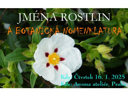 Jména rostlin basic2