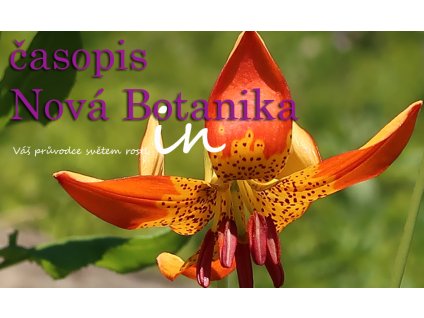 Titulka NB2019 1 minimini