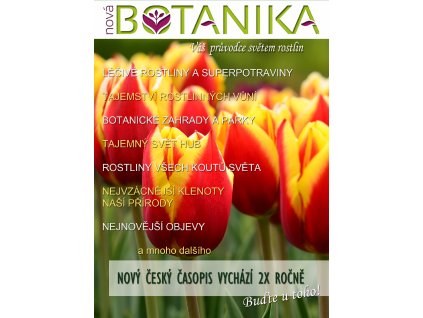 2020 2 Nova Botanika A4