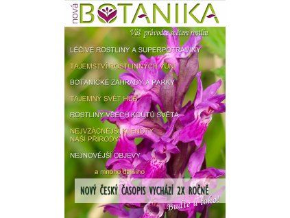 Titulní plakátek podzim 2020 ORCHIDEJ