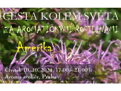 Aroma cesta kolem světa Amerika m