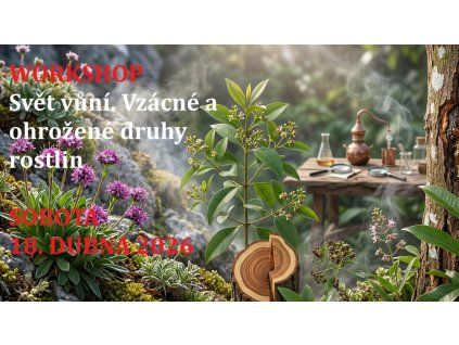 workshop pozvánka m