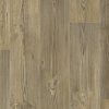 631 barn pine