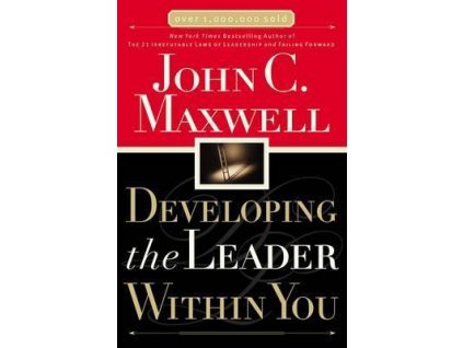DevelopingTheLeaderWithYou