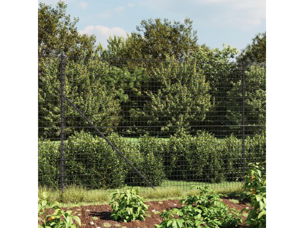 vidaXL Drátěný plot antracitový 2,2 x 10 m pozinkovaná ocel