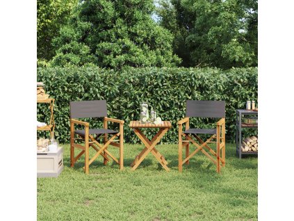 vidaXL Skládací režisérské židle 2 ks šedé masivní teakové dřevo