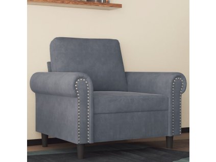 vidaXL Křeslo tmavě šedé 60 cm samet