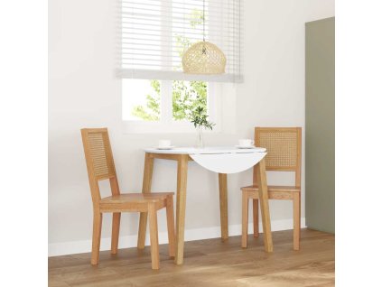 vidaXL Jídelní židle 2 ks z masivního dřeva Rubber