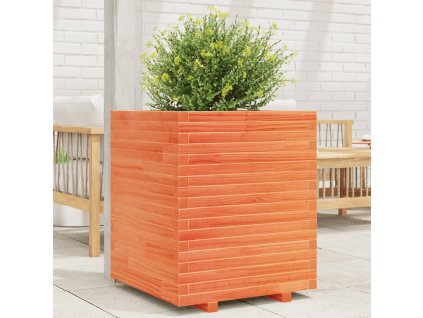 vidaXL Zahradní truhlík voskově hnědý 60 x 60 x 72 cm masivní borovice
