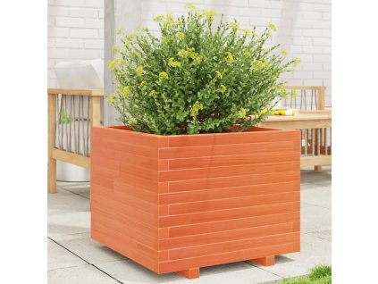 vidaXL Zahradní truhlík voskově hnědý 60x60x49,5 cm masivní borovice