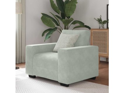 vidaXL Křeslo světle šedé 100x77x82 cm samet