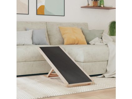 vidaXL Rampa pro psy šedá 100 x 40 cm masivní jedlové dřevo