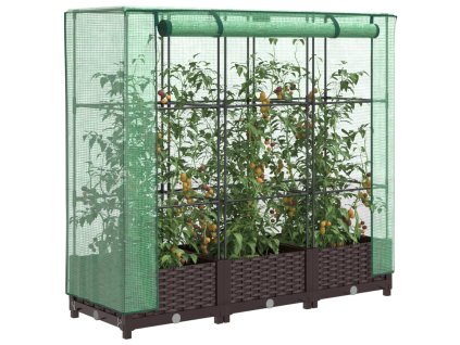 vidaXL Vyvýšený záhon se skleníkem ratanový vzhled 120 x 40 x 123 cm