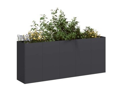 vidaXL Truhlík černý 200x40x80 cm ocel válcovaná za studena