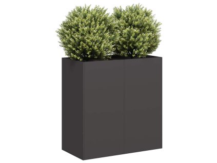 vidaXL Truhlík černý 80x40x80 cm ocel válcovaná za studena