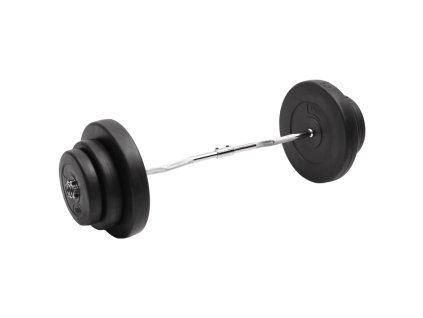 vidaXL Zakřivená tyč se závažím 60 kg