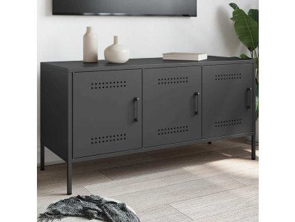 vidaXL TV skříňka černá 100,5 x 39 x 50,5 cm ocel