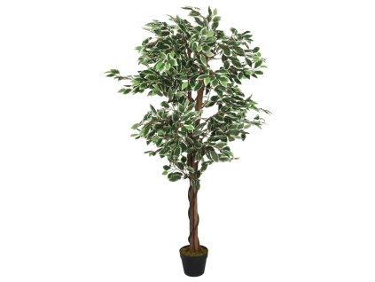 8721012135390 a en hd 1