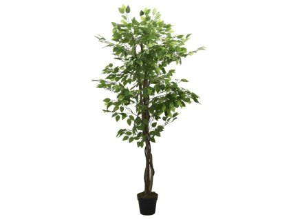 8721012135314 a en hd 1