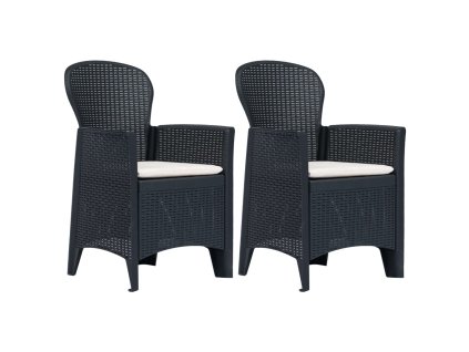 vidaXL Zahradní židle 2 ks + podušky antracitové plast ratanový vzhled