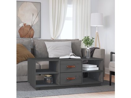 vidaXL Konferenční stolek šedý 100 x 50 x 41 cm masivní borové dřevo
