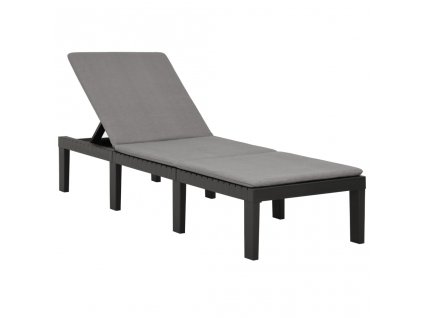 vidaXL Zahradní lehátko s poduškou plast antracitové
