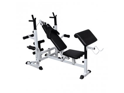 vidaXL Multifunkční posilovací lavice