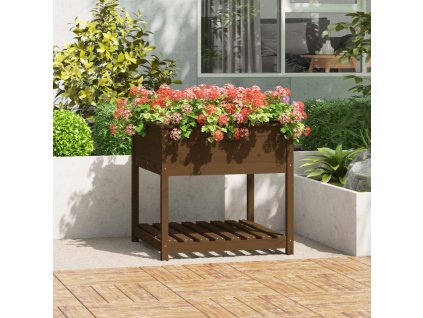 vidaXL Truhlík s policí medově hnědý 82,5x82,5x81 cm masivní borovice