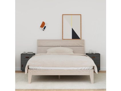 vidaXL Noční stolky 2 ks šedé 40 x 34 x 55 cm masivní borové dřevo
