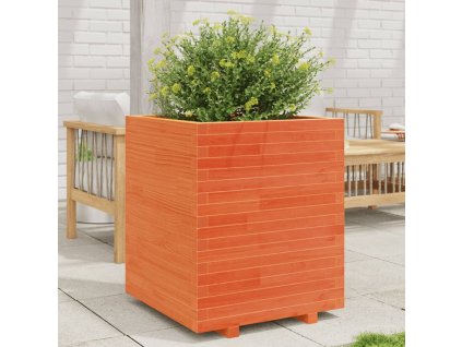 vidaXL Zahradní truhlík voskově hnědý 60x60x72,5 cm masivní borovice