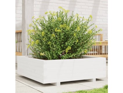 vidaXL Zahradní truhlík bílý 80 x 80 x 26,5 cm masivní borovice