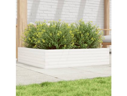 vidaXL Zahradní truhlík bílý 100 x 100 x 23 cm masivní borové dřevo