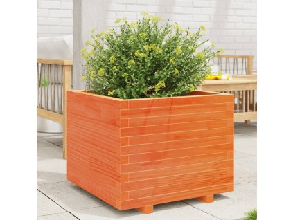 vidaXL Zahradní truhlík voskově hnědý 60x60x49,5 cm masivní borovice