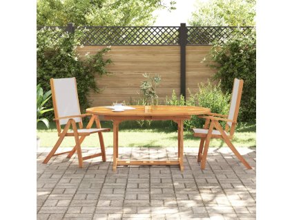 vidaXL Skládací zahradní židle 2 ks masivní akáciové dřevo a textilen